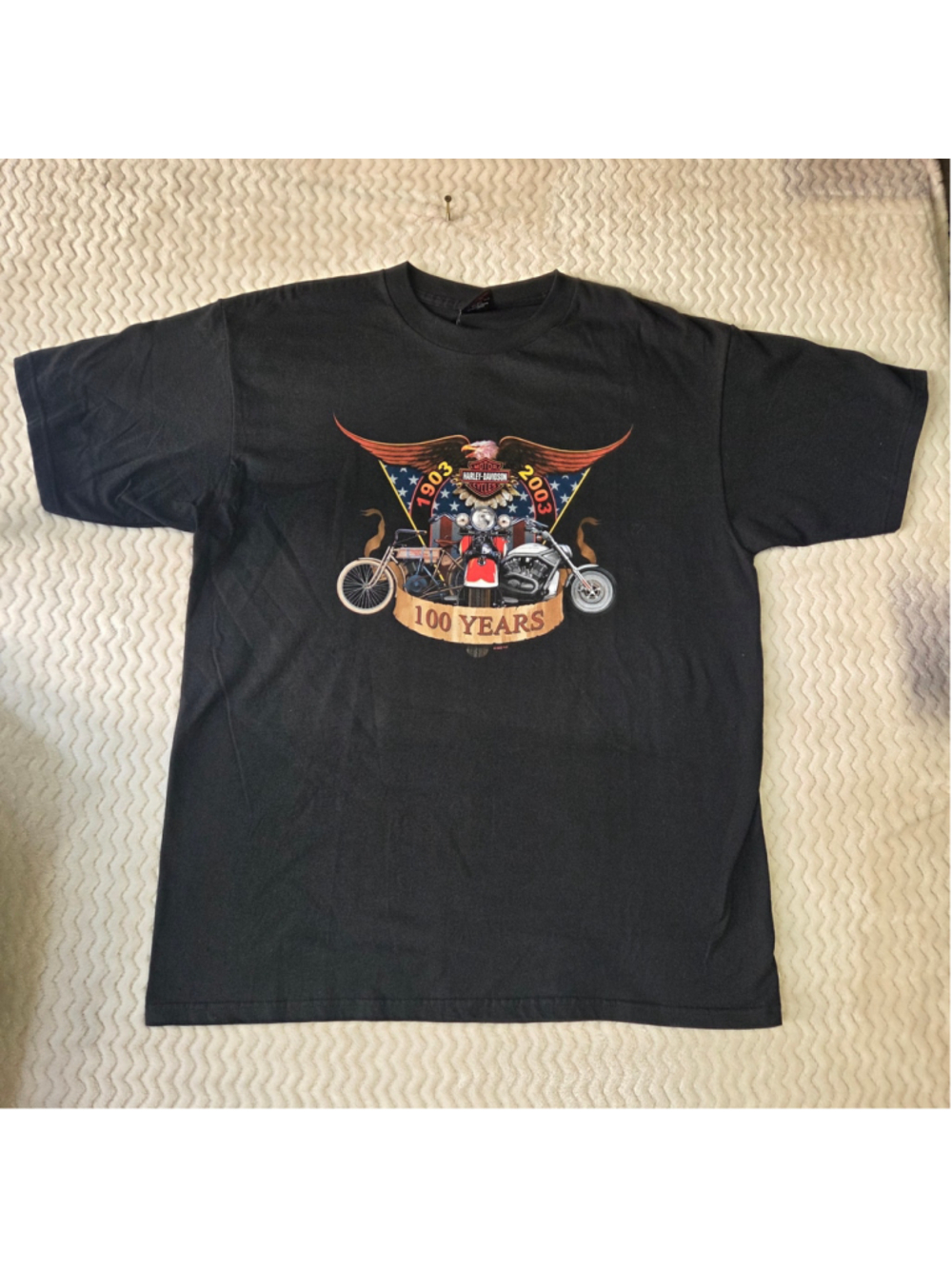 Men's Harley-Davidson 100th Anniversary Graphic T-Shirt Black XL